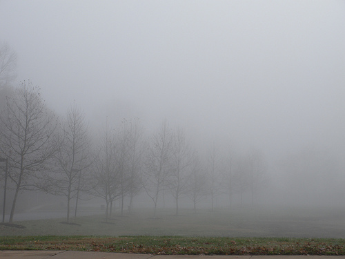 Fog